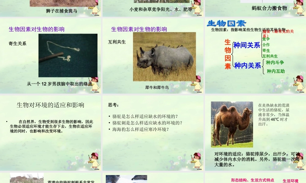 第一节生物与环境的关系第课时