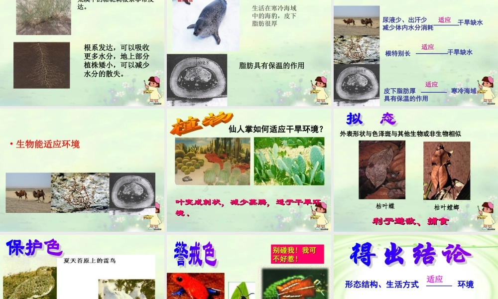 第一节生物与环境的关系第课时