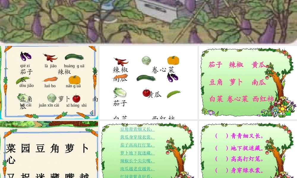 《识字二·菜园里》