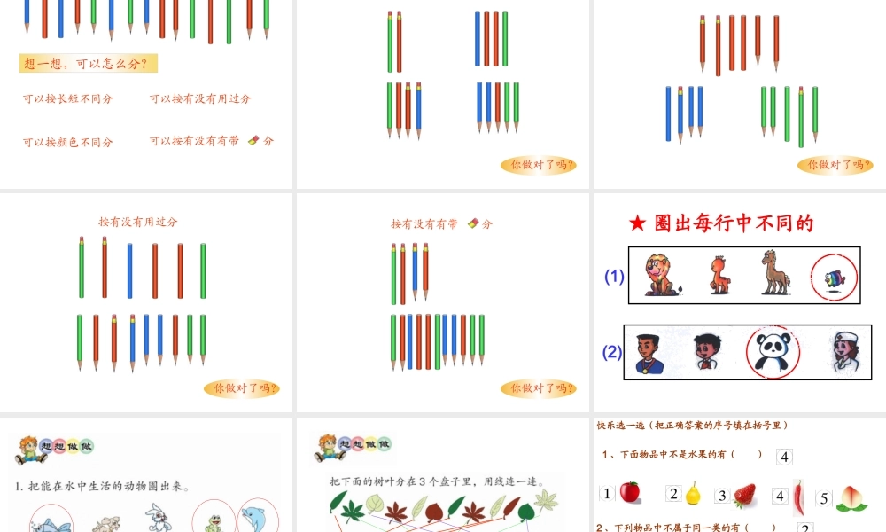 《分类与整理》1