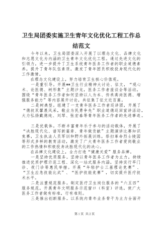 卫生局团委实施卫生青年文化优化工程工作总结范文