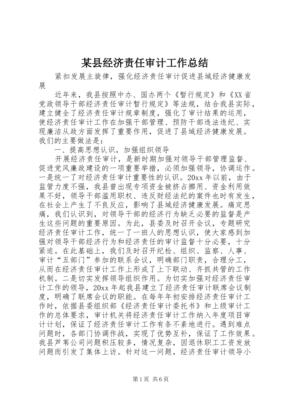 某县经济责任审计工作总结_1_第1页