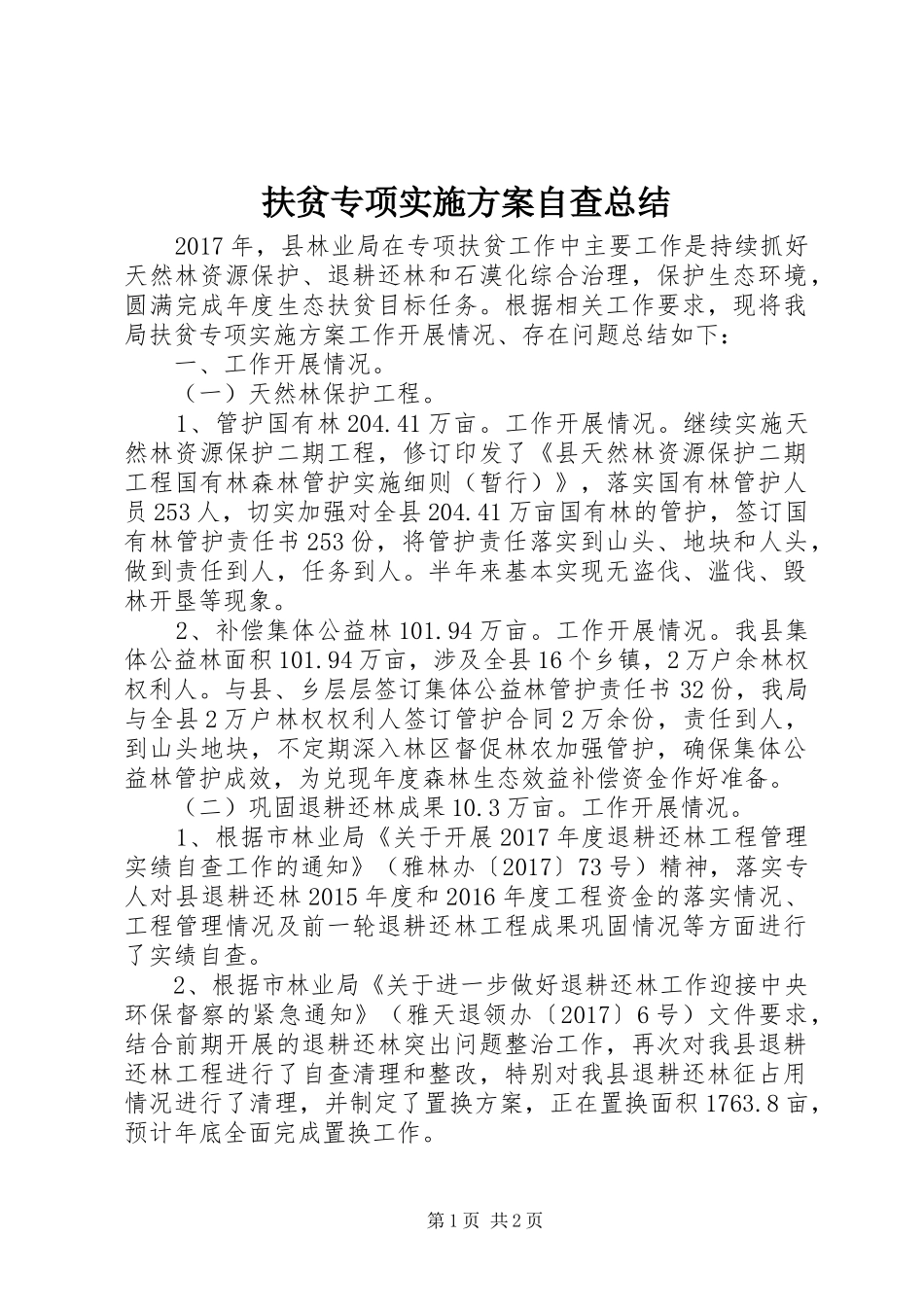 扶贫专项实施方案自查总结_第1页