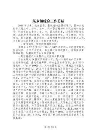 某乡镇综合工作总结