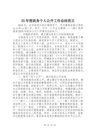 XX年度政务个人公开工作总结范文