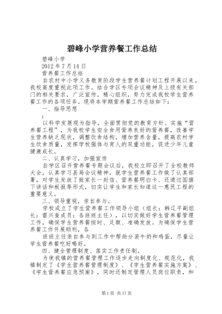 碧峰小学营养餐工作总结