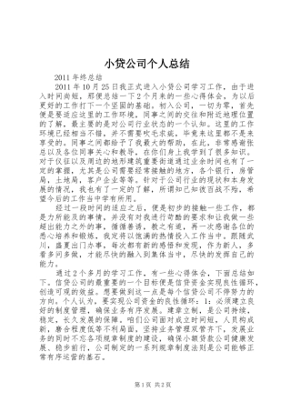 小贷公司个人总结