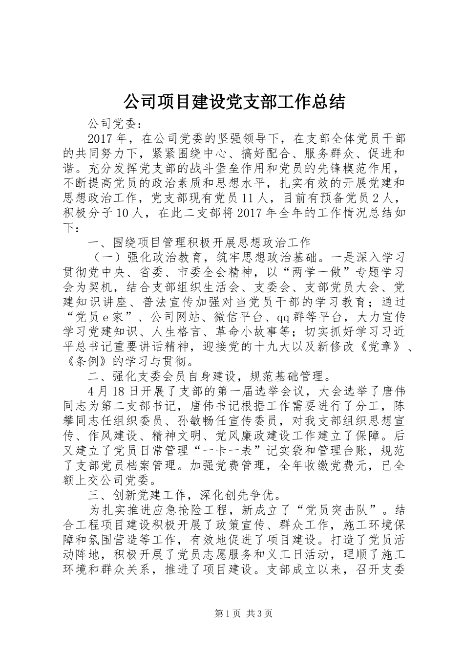 公司项目建设党支部工作总结_第1页