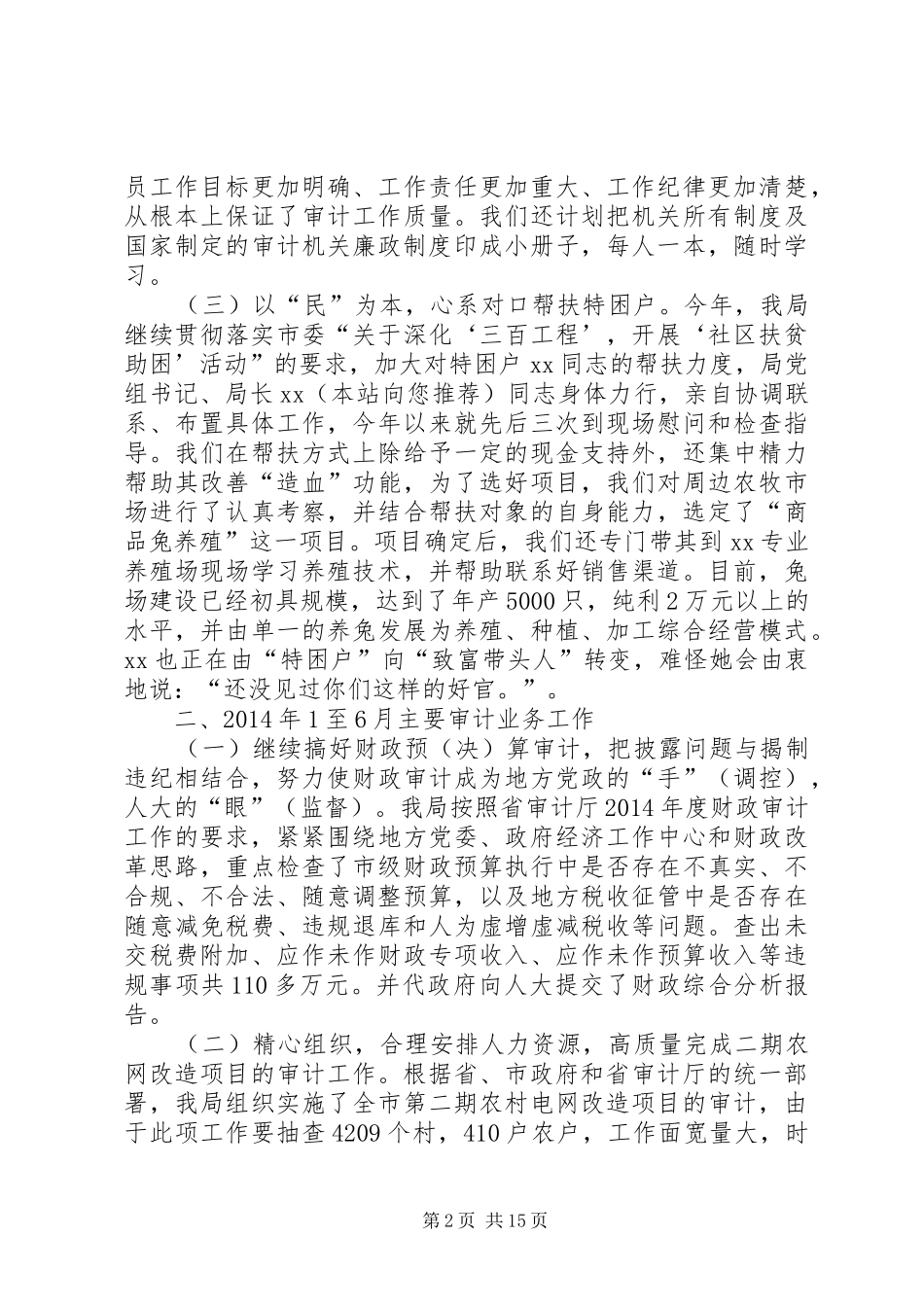 市审计局年上半年工作总结_第2页