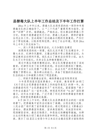 县禁毒大队上半年工作总结及下半年工作打算