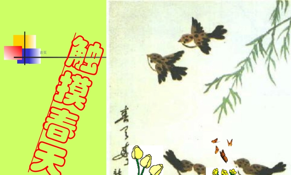 触摸春天PPT课件