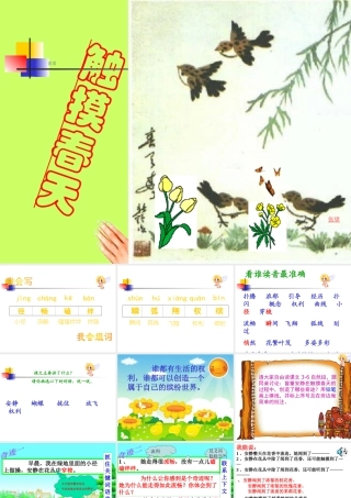 触摸春天PPT课件