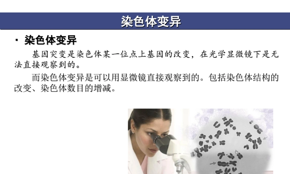 与染色体变异有关的几个误区