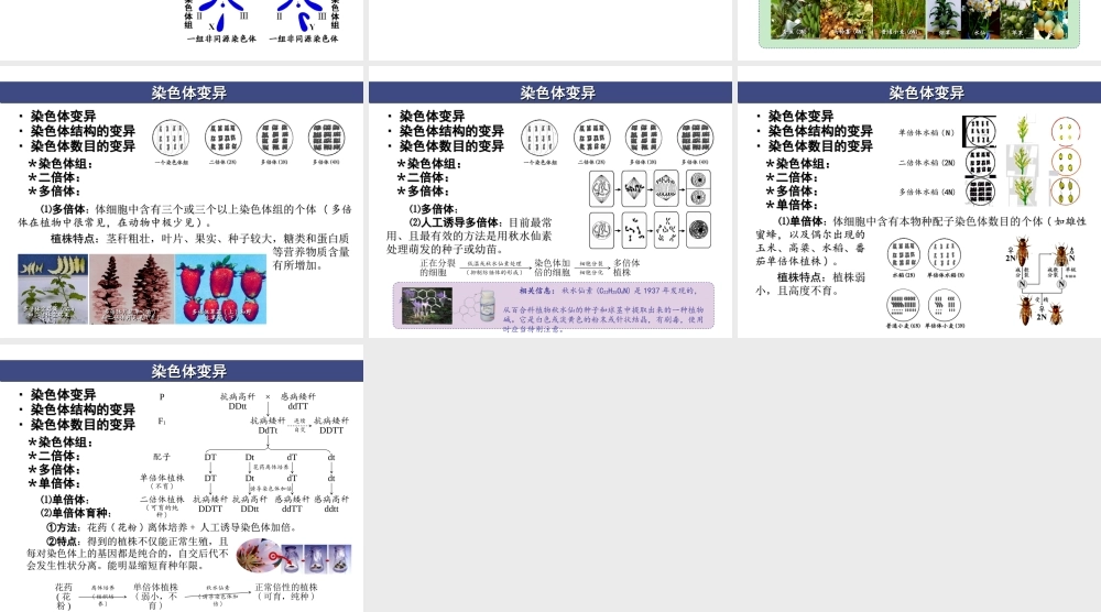 与染色体变异有关的几个误区