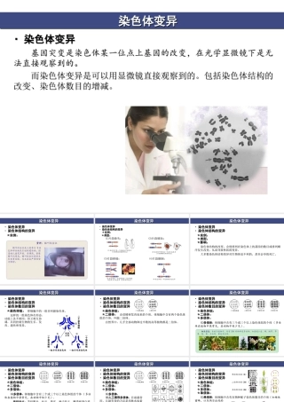 与染色体变异有关的几个误区