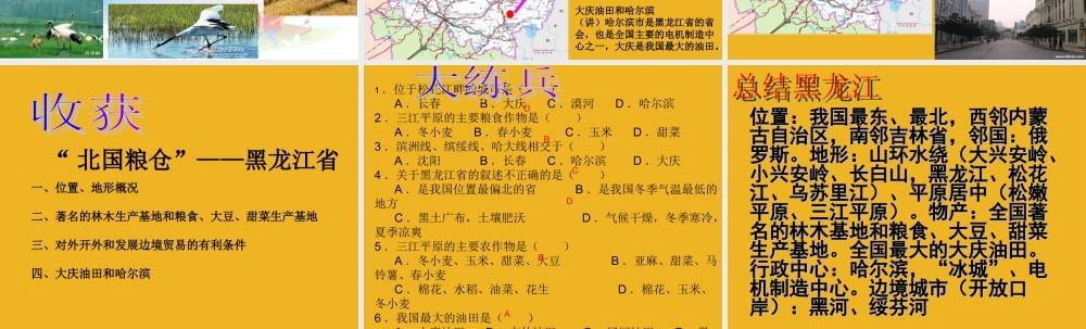 八年级地理下册_北国粮仓_黑龙江省课件_湘教版