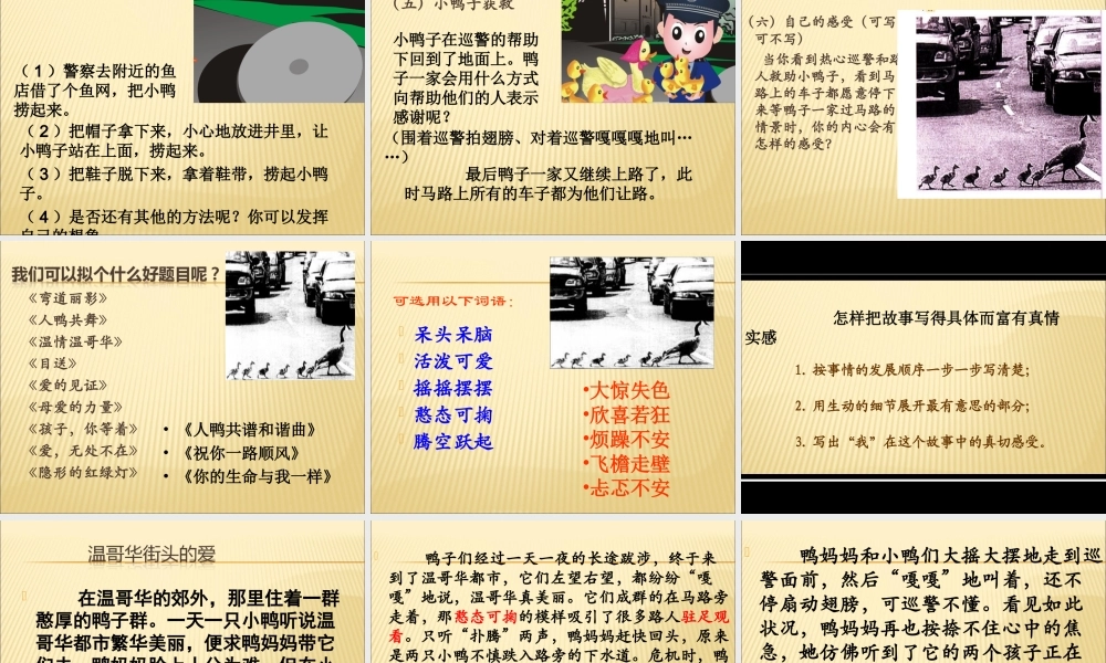 六年级上册第七单元习作