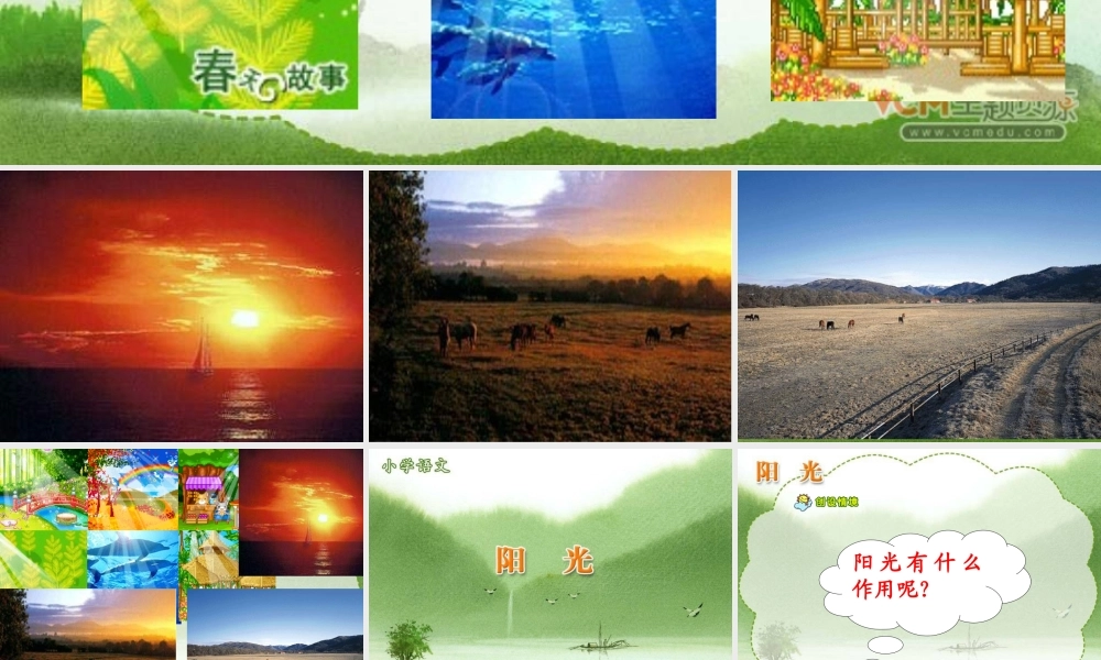 《阳光》课件[](定稿 ()