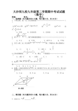 大沙坝九校九年级第二学期期中考试试题