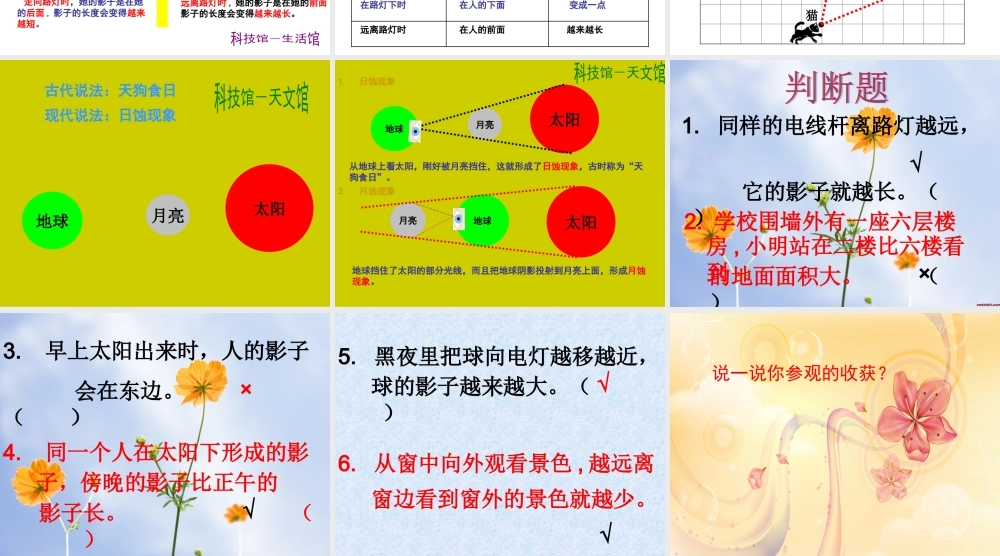 《观察的范围》课件