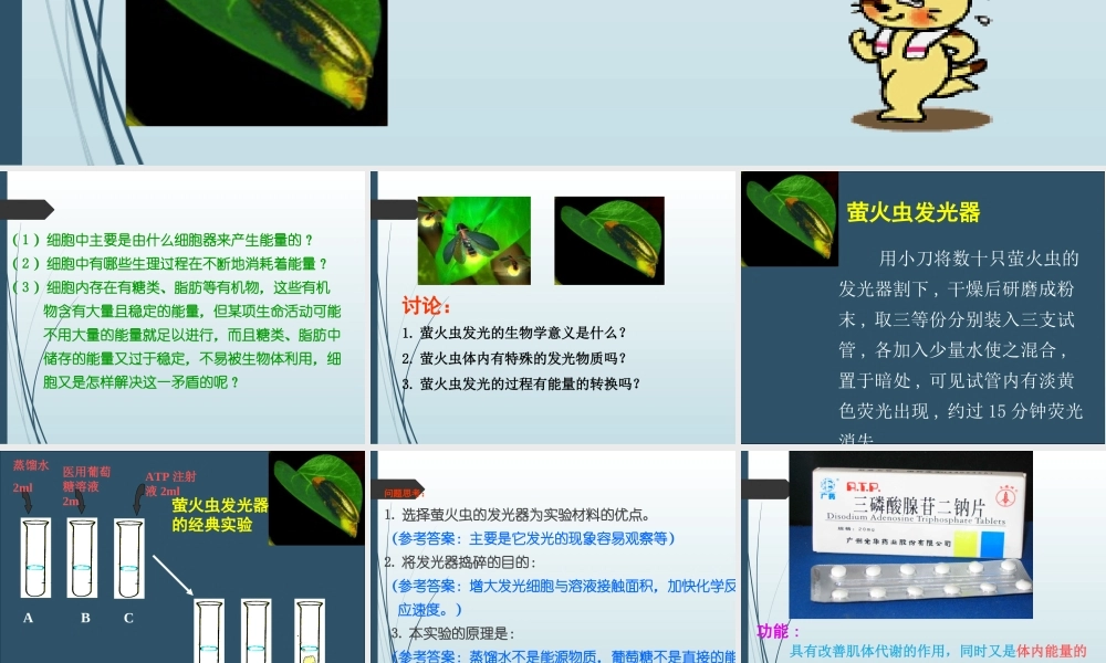 《细胞的能量“通货”—ATP》课件（2）