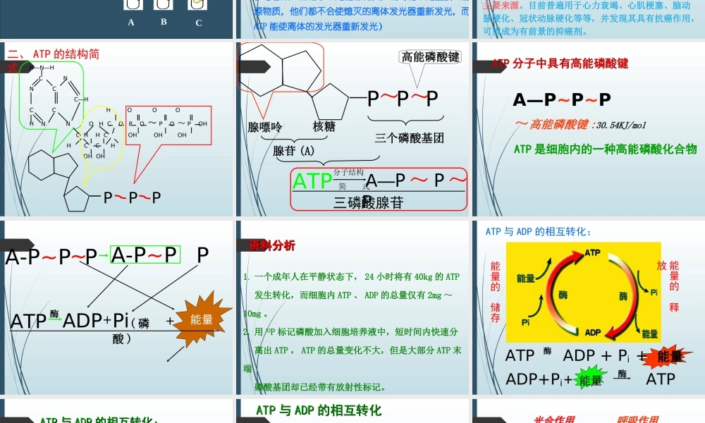 《细胞的能量“通货”—ATP》课件（2）