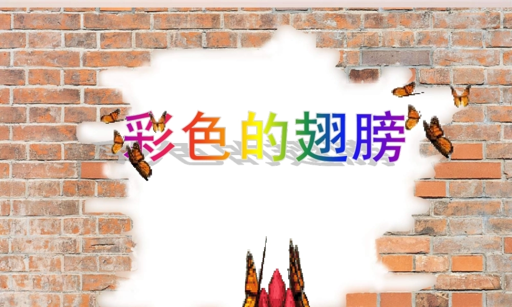 彩色的翅膀六年级上人教版