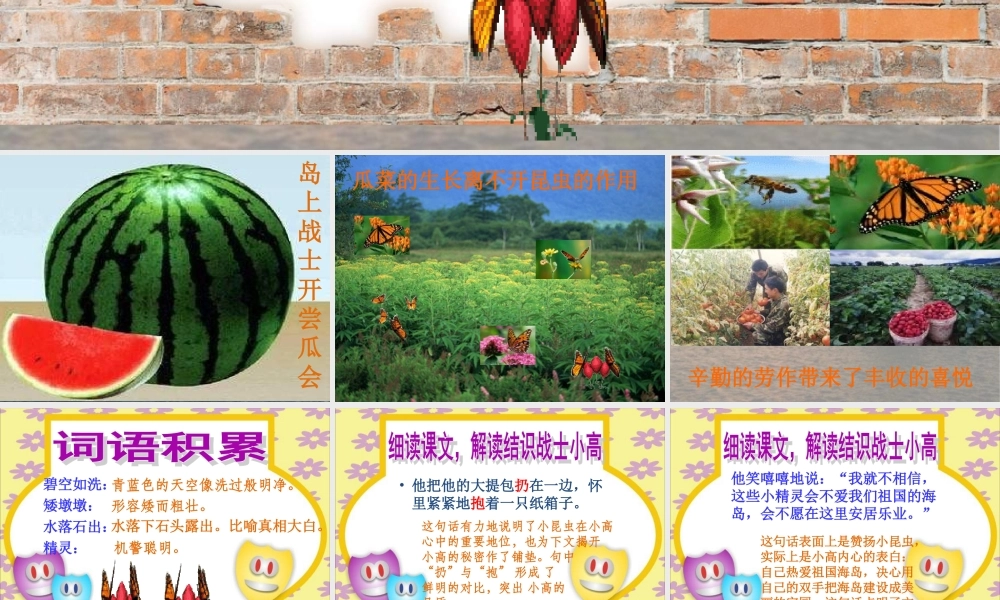 彩色的翅膀六年级上人教版