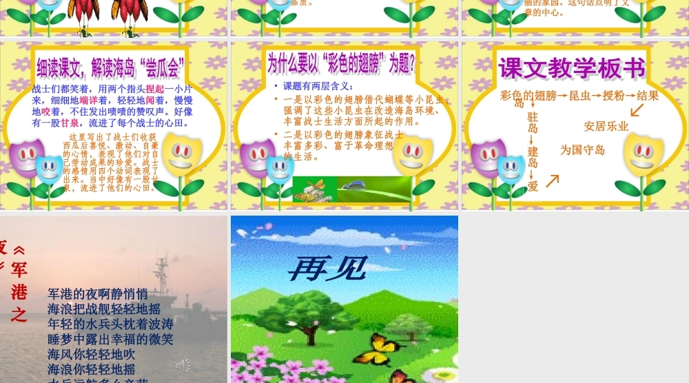 彩色的翅膀六年级上人教版