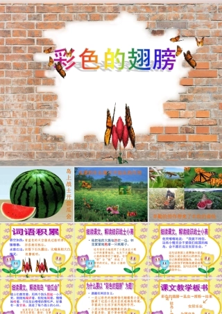 彩色的翅膀六年级上人教版