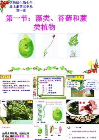 藻类苔藓蕨类课间