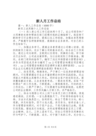 新人月工作总结