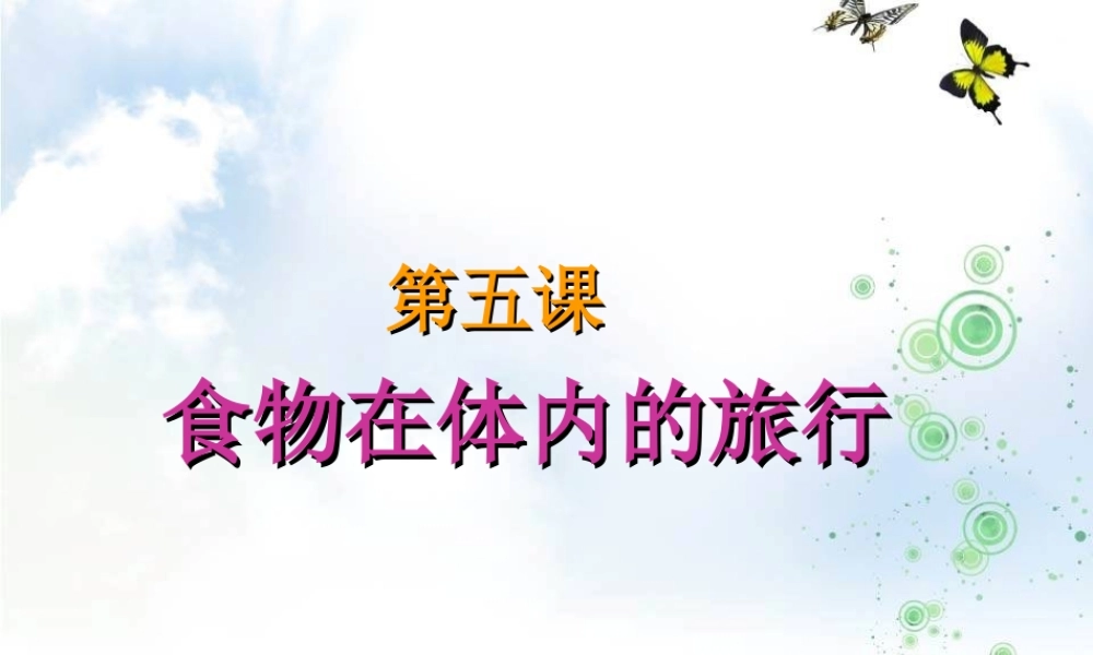 《食物在体内的旅行》PPT课件