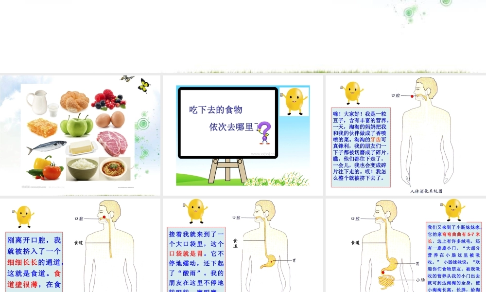 《食物在体内的旅行》PPT课件