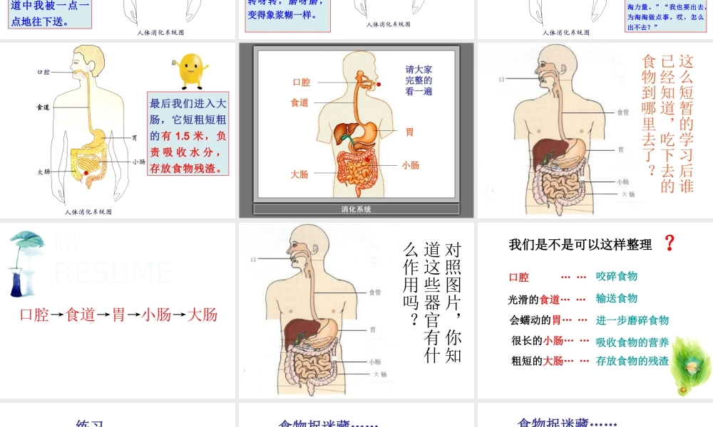 《食物在体内的旅行》PPT课件