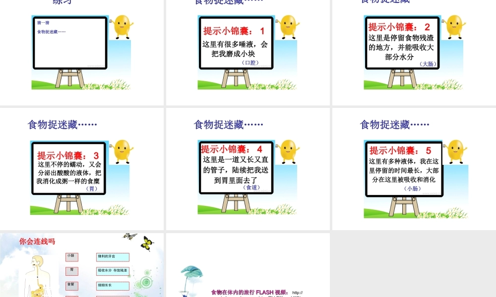 《食物在体内的旅行》PPT课件