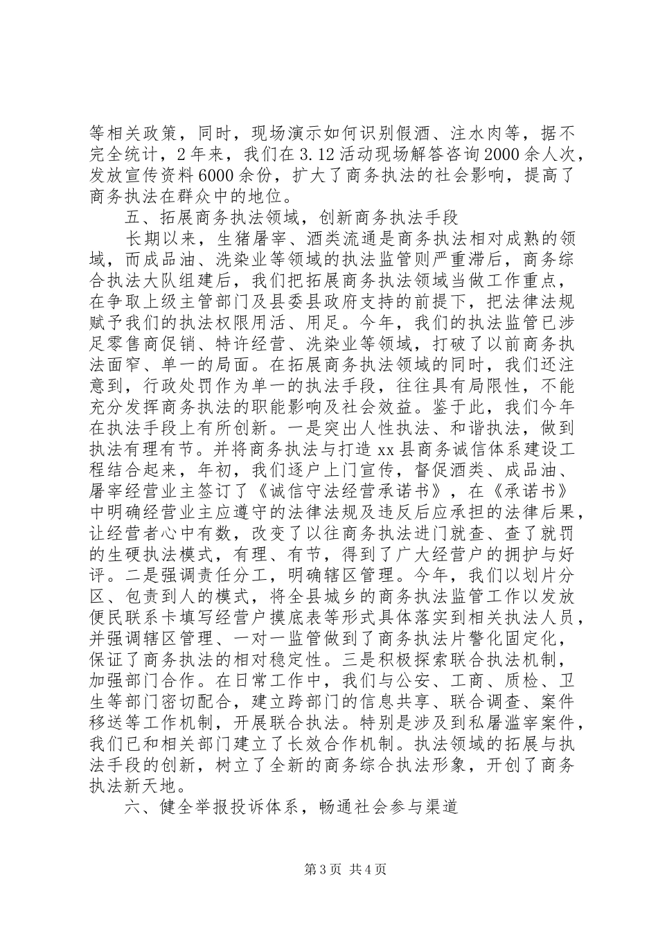 XX年某县商务综合行政执法工作总结_第3页