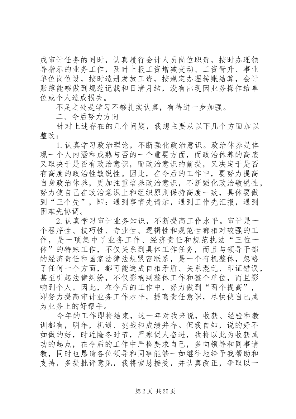 审计员个人XX年度工作总结_第2页