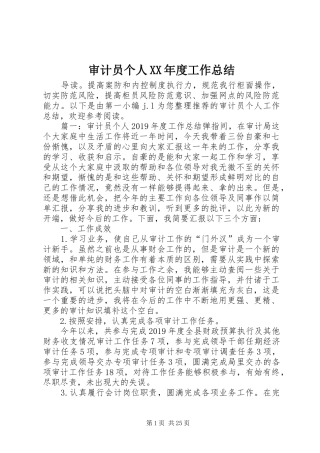 审计员个人XX年度工作总结