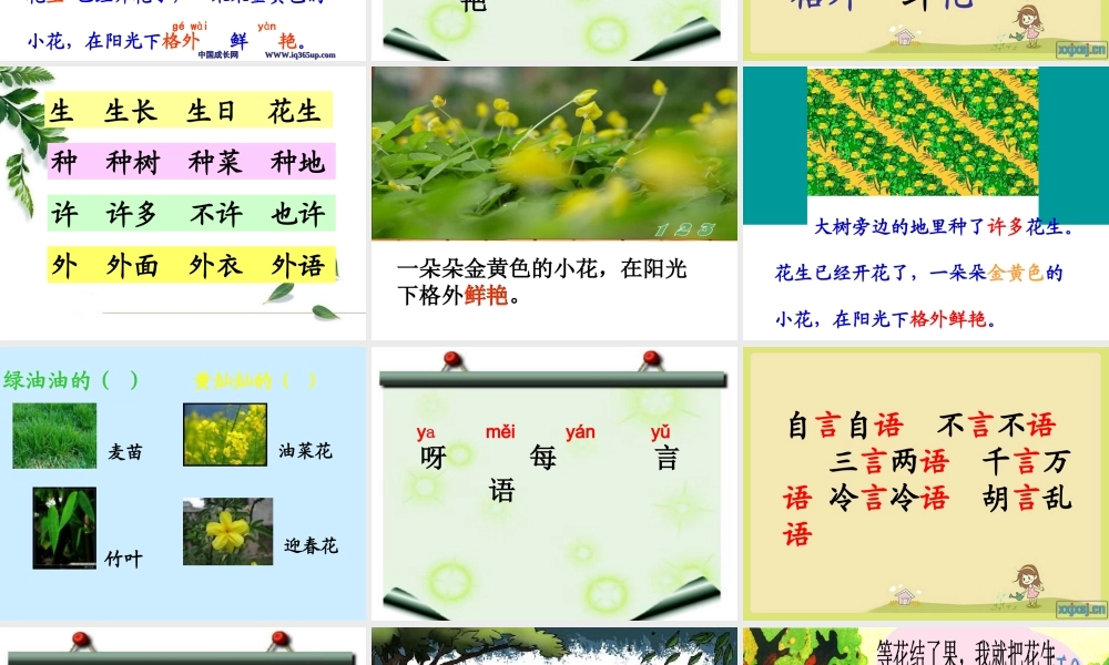 《小松鼠找花生》课件 (2)
