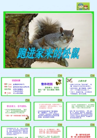 跑进家来的松鼠PPT课件