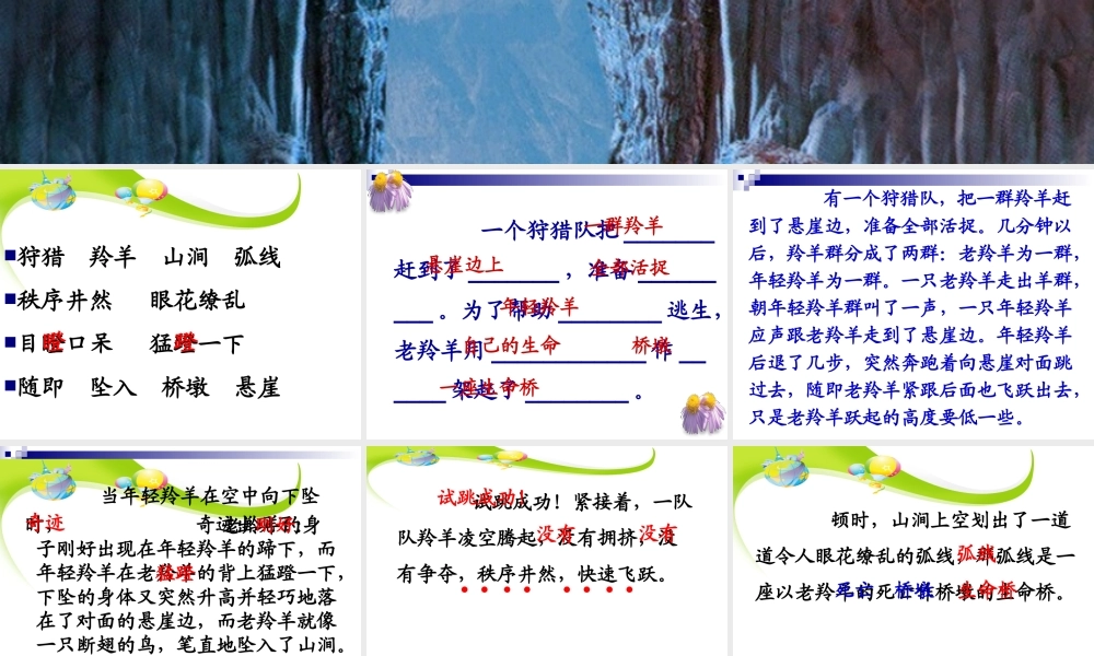 生命的壮歌之生命桥超值