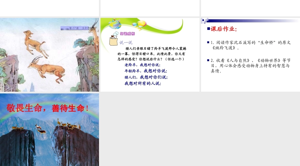 生命的壮歌之生命桥超值