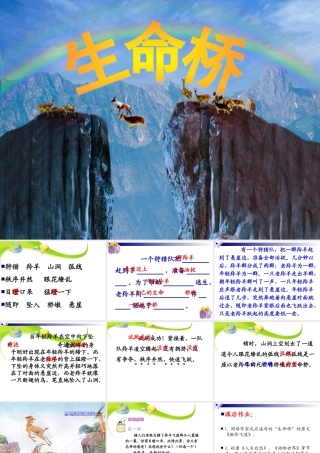 生命的壮歌之生命桥超值