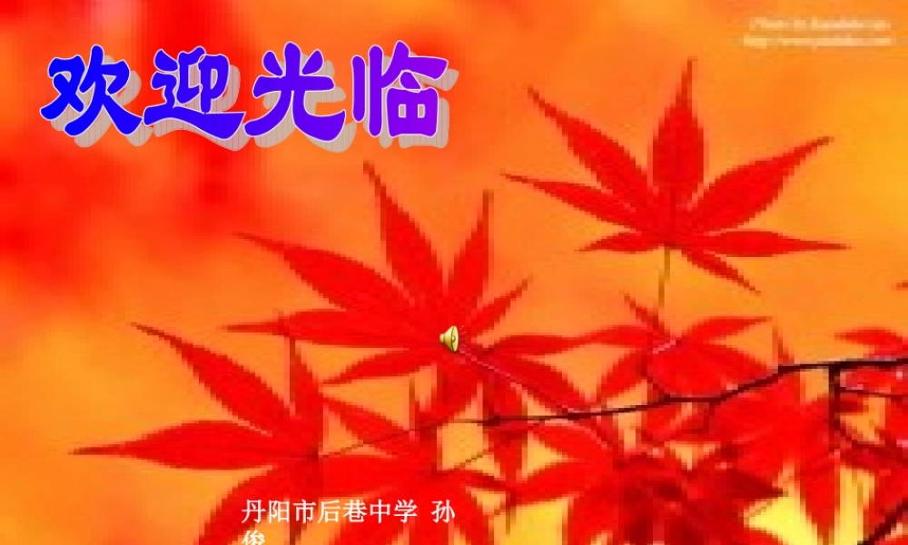 小说人物形象分析专题