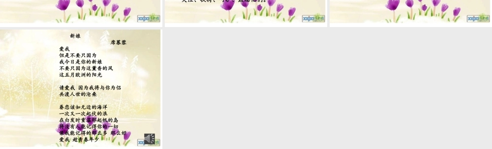 心平气和聆听花开的声音