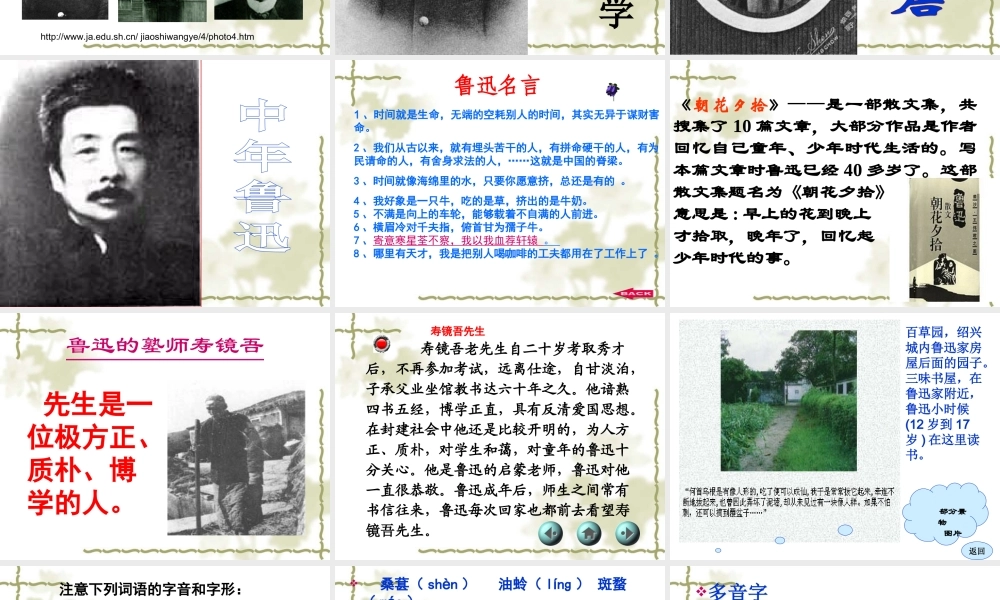 从百草园到三味书屋最好的