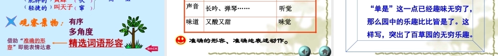 从百草园到三味书屋最好的
