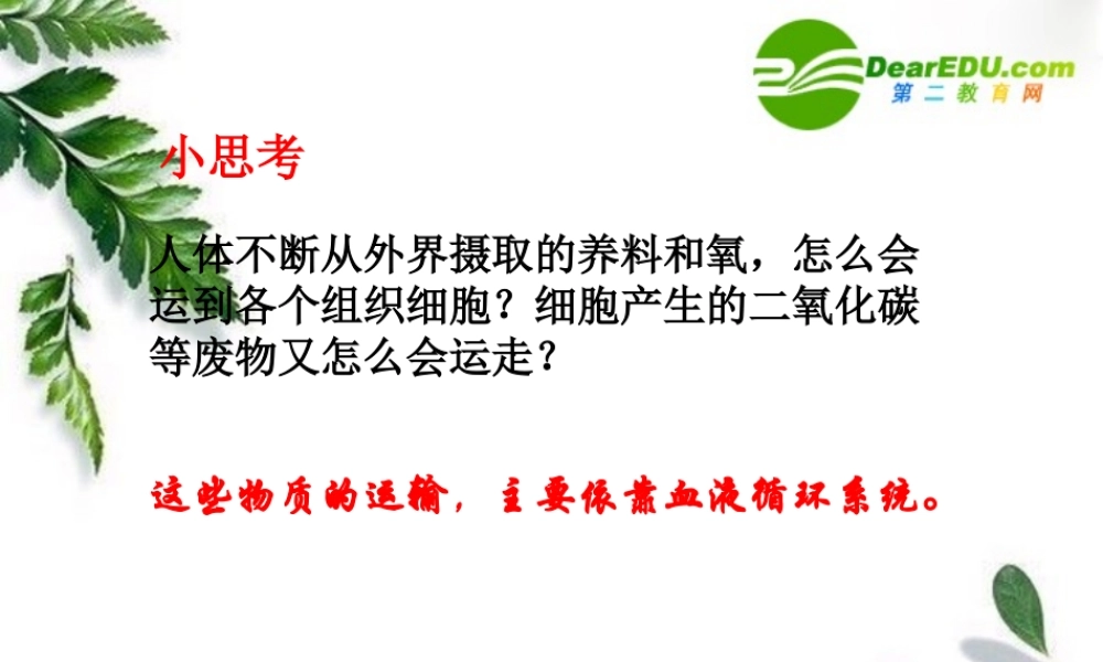 七年级生物人体循环-血液与血管课件人教版