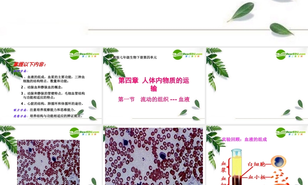 七年级生物人体循环-血液与血管课件人教版